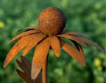 edelrost-gartenstecker-sonnenhut-blume