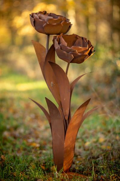 edelrost-rosen-gartendeko-rostig